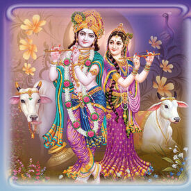 Tulsivivah_Card_2017-P1 Tulsivivah_Card_2017-P1